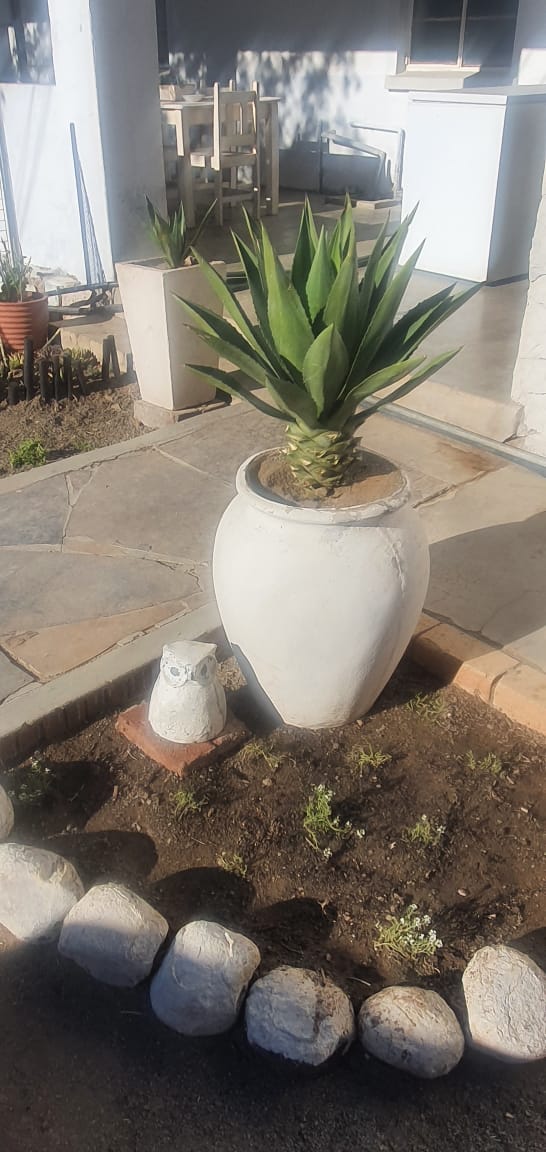 Commercial Property for Sale in Brandvlei Northern Cape